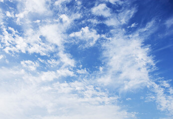 Fototapeta premium 空