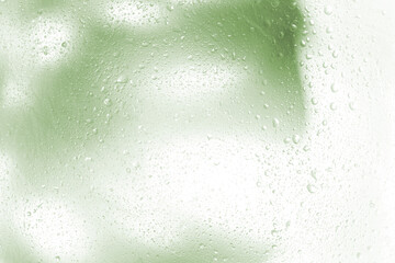 Obraz premium foggy background, blurry monstera leaf in white pair, water drops on glass. fog effect of palm leaves silhouettes behind. out of focus