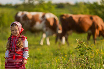 little girl grazing cows on the lawn