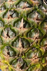 close up of the scaly skin of a pineapple fruit