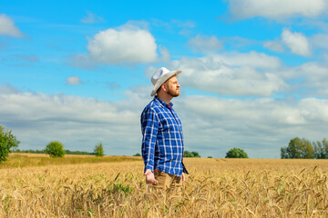 Naklejka na ściany i meble Man agronomist farmer in golden wheat field. Male holds ears of wheat in hand.