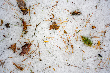 Background with melting snow and fallen leaves, tree bark, spruce needles on snow, Winter texture