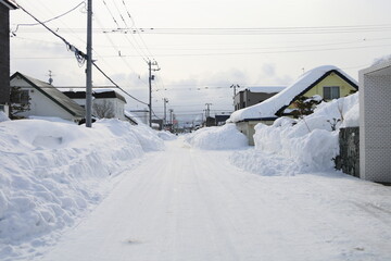 Fototapeta na wymiar 北海道の冬景色
