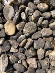 a bunch of irregular pebbles