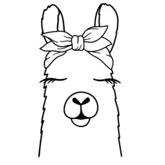 Cute Llama Line Art. Llama with bandana. Llama sketch vector illustration. Good for posters, t shirts, postcards. © Irina Ostapenko