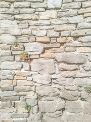 Medieval stone wall of limestone, textured.