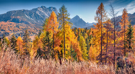 Colorful autumn view of outskirts of Cortina d'Ampezzo town. Astonishing morning view of Dolomite Alps. Magnificent outdoor scene of Italy, Europe. Traveling concept background.