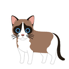 スノーシューの猫イラスト