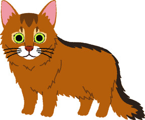 ソマリの猫イラスト
