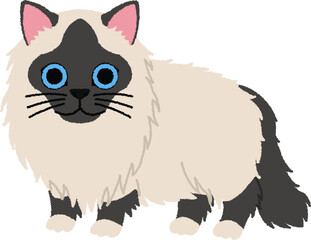 バーマンの猫イラスト