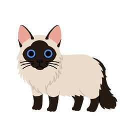 バリニーズの猫イラスト