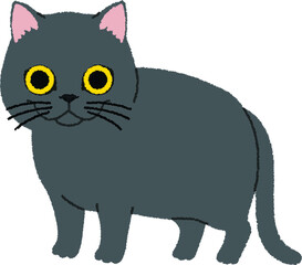 ブリティッシュショートヘアーの猫イラスト