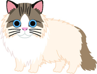 ラガマフィンの猫イラスト