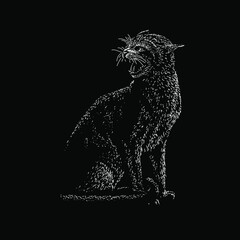 Abyssinian cat illustration isolated on black background