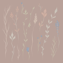 Vector set of delicate twigs and stems with foliage on a dark background. Kit with hand drawn wild herbs. Nature clipart