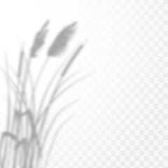 Realistic shadow tropical leaves and branches on transparent checkered background. The effect of overlaying shadows. Natural light layout.