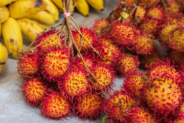 Naklejka na ściany i meble Bunch of ripe rambutan. Sweet tropical fruits. Stack of red lychee. Vegetarian food. Delicious fruits. Exotic grocery. Tropical street market. Heap of lichi fruits. Healthy snack.