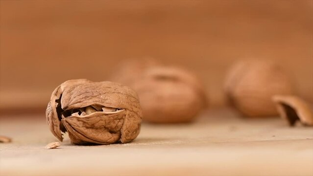 Cracking a walnut with hammer, France