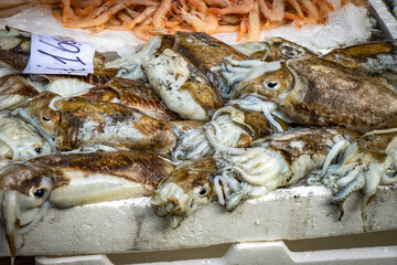 fresh squid, fish market in catania, sicily, italy, europe