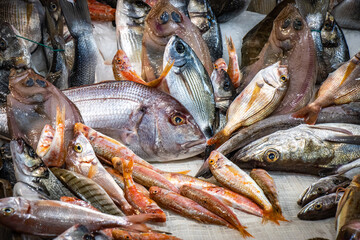 fresh fish, fish market in catania, sicily, italy, europe