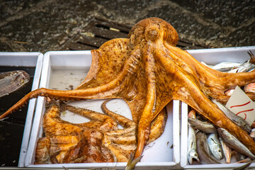 octopus in fish market in catania, sicily, italy, europe