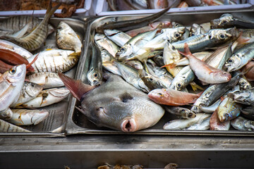 fish in the market, fish market, catania, sicily, italy, europe