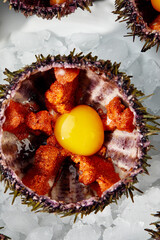 Fototapeta na wymiar Sea urchins in a ceramic bowl with ice on. Sea urchin dish with quail egg and soy sauce.