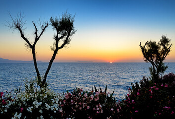 Flowering bushes and trees by the sea at sunset, Crete, Greece