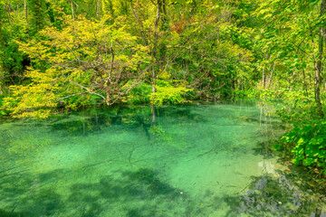 Milino Jezero lake of Plitvice Lakes National Park in Croatia in the Lika region. UNESCO World Heritage of Croatia, named Plitvicka Jezera.