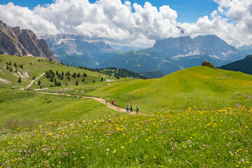 Fototapeta na wymiar Blooming alpine meadow with hikers in a beautiful mountain landscape