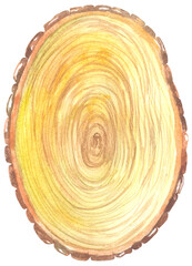 Oval wooden slice