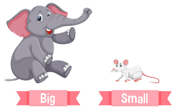 Opposite English Words big and small