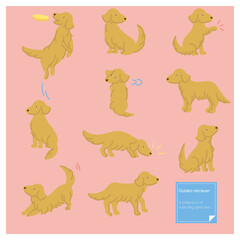 ゴールデンレトリーバー　いろいろなポーズのイラスト