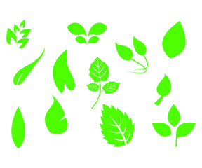 Green Leaf Illustrator vector drawing 