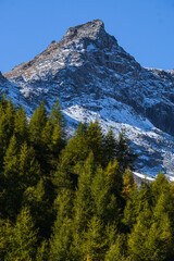 The mountains and the beauty of nature and woods of the Spluga valley: a tourist area in the...