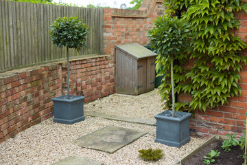 Standard bay trees in containers in a landscaped garden, UK