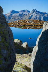 Obraz premium The Swiss Alps seen from the Bergseeli: a small high-altitude alpine lake on the border between Switzerland and Italy, near the Spluga Pass - September 2021