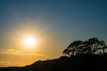 森と太陽とシルエット