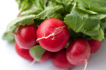 Bunch of radishes close up.