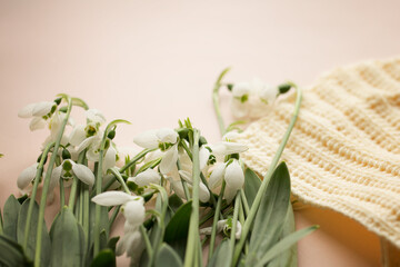 White snowdrops and a warm plaid on a light background.