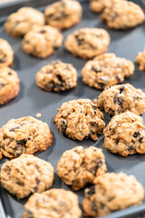 Chewy oatmeal raisin cookies