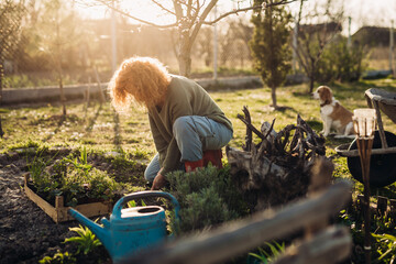 woman planting vegetables in her backyard garden