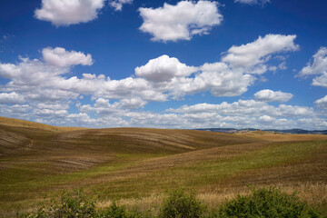 Rural landscape along the Cassia near Radicofani, Tuscany