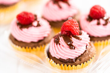 Chocolate raspberry cupcakes