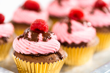 Chocolate raspberry cupcakes