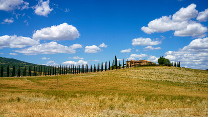 Fototapeta na wymiar Rural landscape along the Cassia near Castiglione, Tuscany