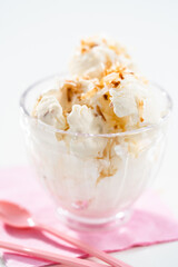 Coconut ice cream