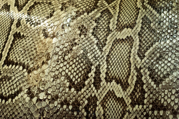 Snakeskin background is popularly used to make fashion bags.
