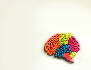Visual representation of human brain