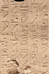 Ancient Egyptian murals and hieroglyphs on the stone walls of the Karnak Temple in Luxor, Egypt